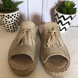 SEVEN ⭐️ DIALS (0-18)